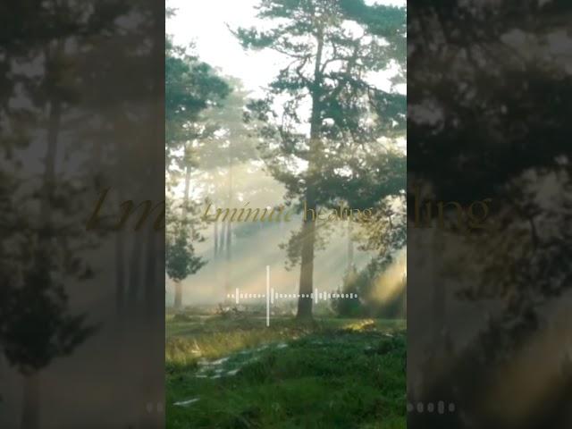 1분힐링  1 minute healing   #healing #sleep #힐링 #새소리 #숲 #숲속 #명상 #1분명상 #아침에새소리