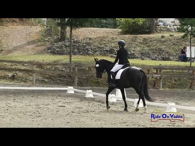 249D Susan Harrel on ODonnells Riverdancer Beg. Novice Amateur CH Dressage Aspen Farms Sept. 2024