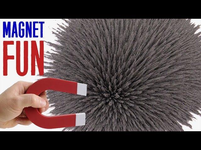 Magnet + Iron filings = Fun Magic & Satisfying Experiment