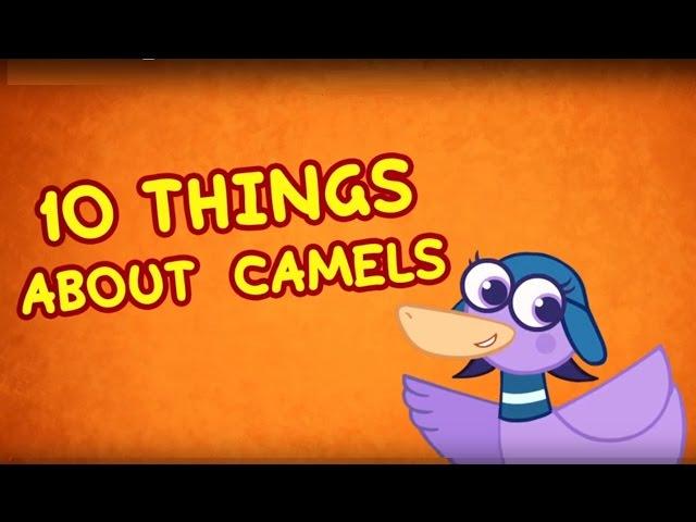 10 things about Camels  Animal Facts for Kids | Hogie the Globehopper | Geography Cartoons for Kids