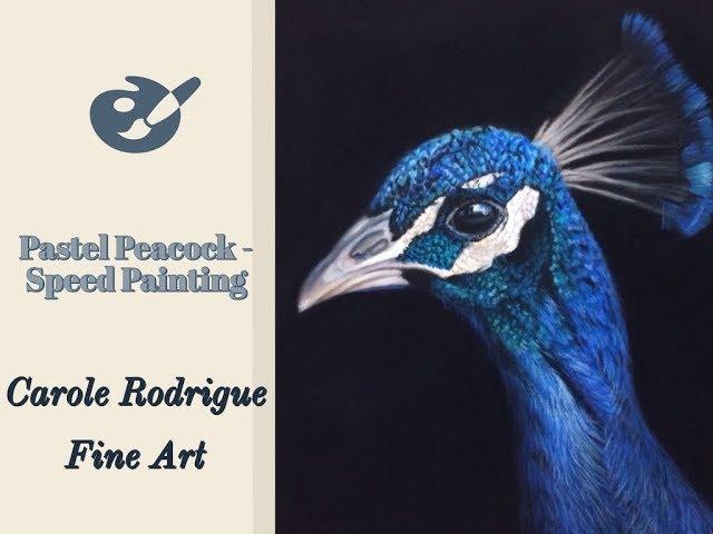 How to Draw Wildlife in Pastels - Peacock Speed Painting Demonstration