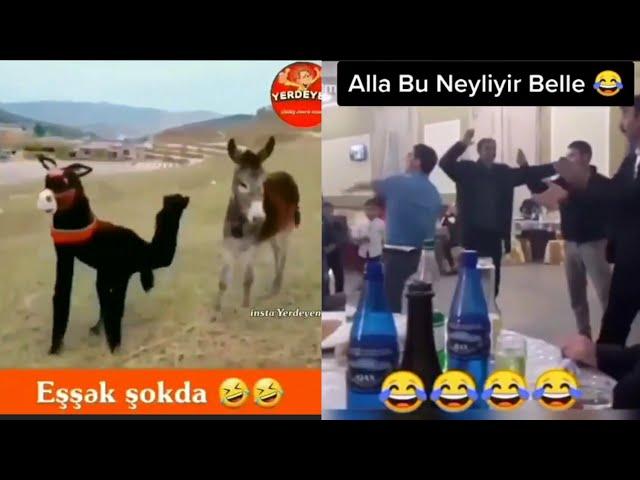 En Gülmeli Videolar #3 |En Gülməli Videolar |En Komik Videolar ! 