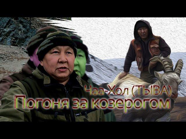 В погоне за козерогом часть-II. Тыва Чаа-Хольский район.