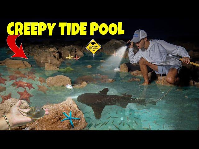 Exploring CREEPY TIDE POOLS At NIGHT!!