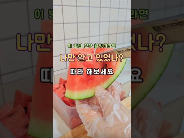 수박 자르는 법 나만 이렇게 하나요? 따라 해보세요 #살림노하우 #살림꿀팁 #살림팁 #수박자르기