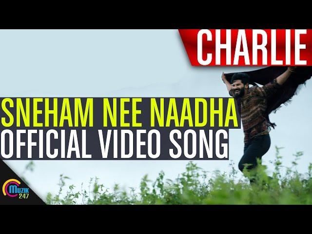 Charlie | Sneham Nee Naadha Song Video | Dulquer Salmaan, Aparna Gopinath, Parvathy | Official