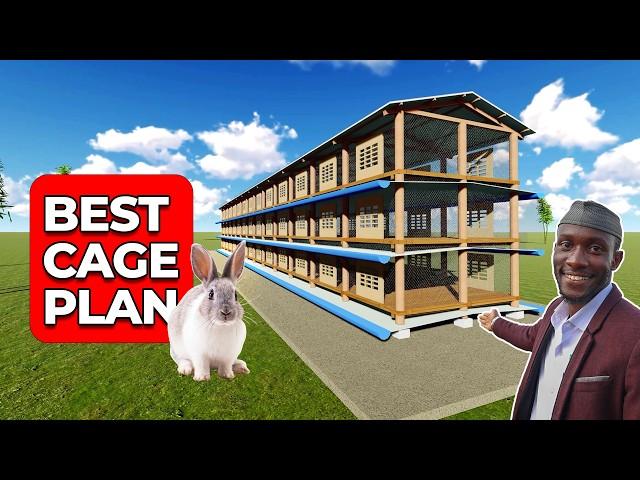 Profitable & Easy! The Best Rabbit Farming Setup for Maximum Yield!