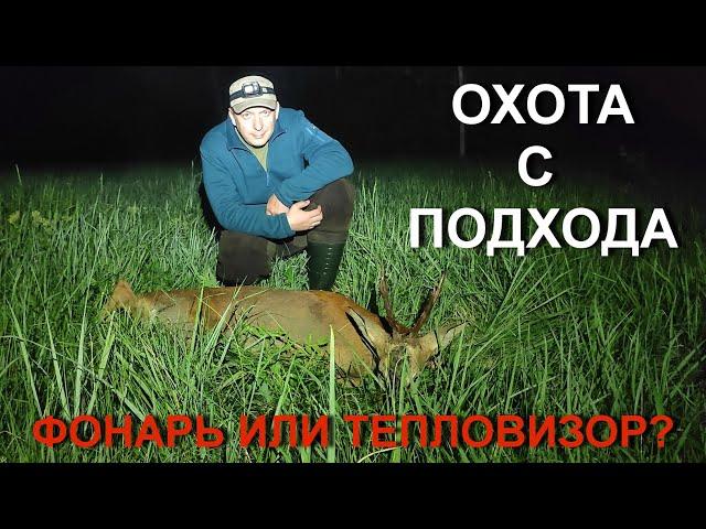 Охота НА КОСУЛЮ с подхода, новый фонарь и тепловизор для охоты.