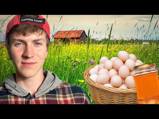 Small Farm: 5 Eggs Every Day, 500kg of Honey Per Year, Vegetables