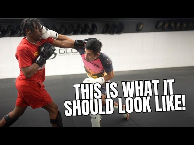 THIS is High Level Sparring! (breakdown)