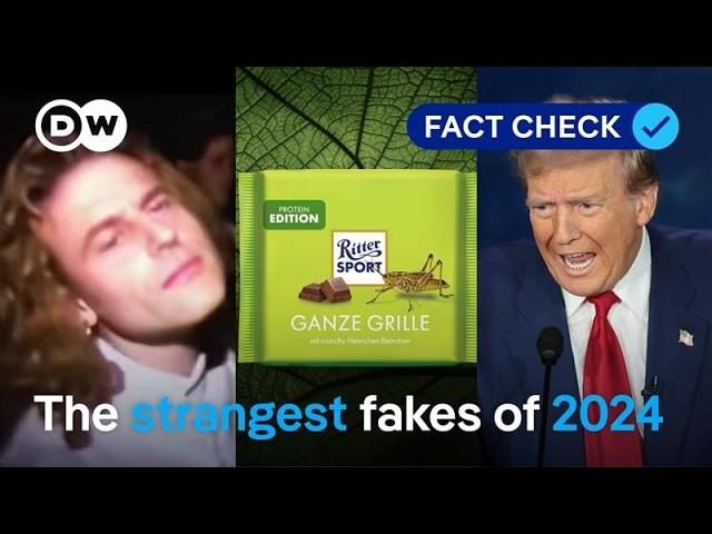 Fact check: The most bizarre fakes of 2024 | DW News