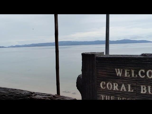 Ko Pha Ngan Coral bungalows