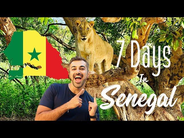 Senegal Travel Vlog With One Week Senegal Travel Itinerary