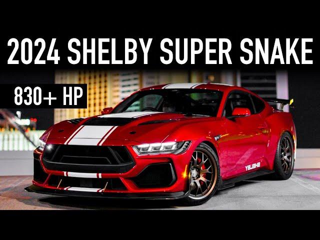 2024 Shelby Super Snake.. Just a Pipe Dream