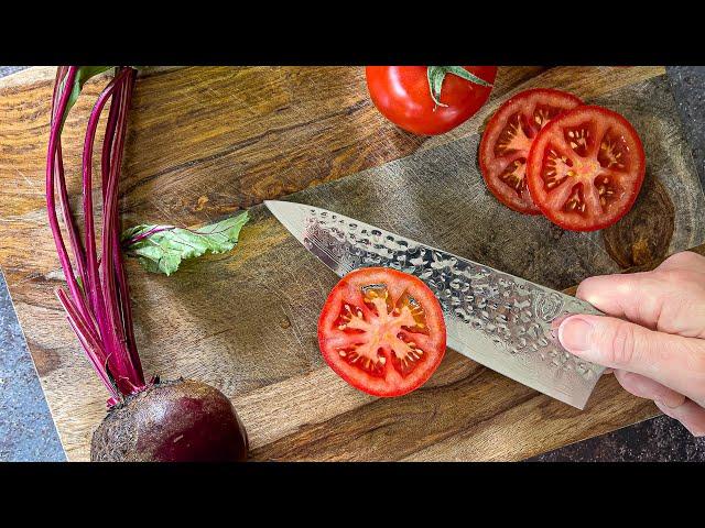 Dalstrong Shogun Series X 8" Chefs Knife Review