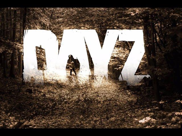 DayZ  Un deathmatch y ya luego vemos que organizamos!!