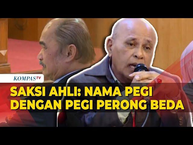 Jawab Saksi Ahli soal Nama Pegi Setiawan Berbeda dengan Pegi Perong di DPO Polisi