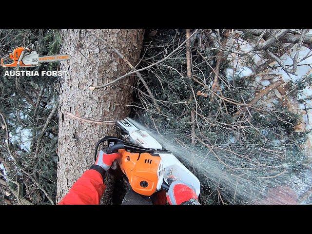 Stihl MS 500 i the 1st chainsaw with injection system when felling and limbing