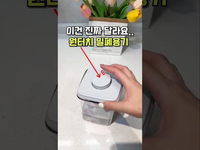 밀폐용기가 거기서 거기?