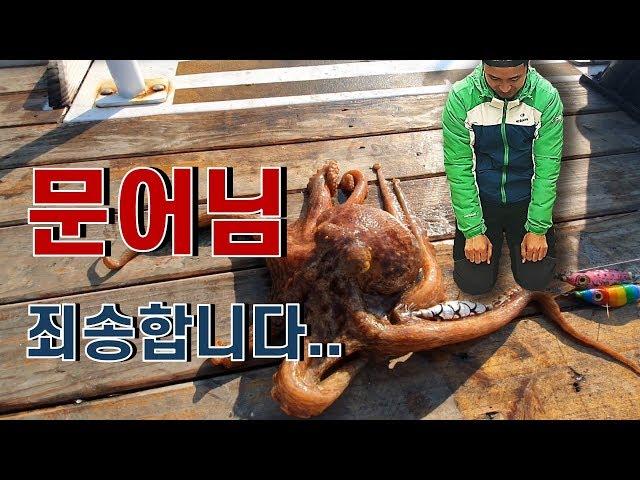 군산 격포권 문어를 조져보자!!! 로 했다가 선비벌고 왔땈ㅋㅋㅋㅋ