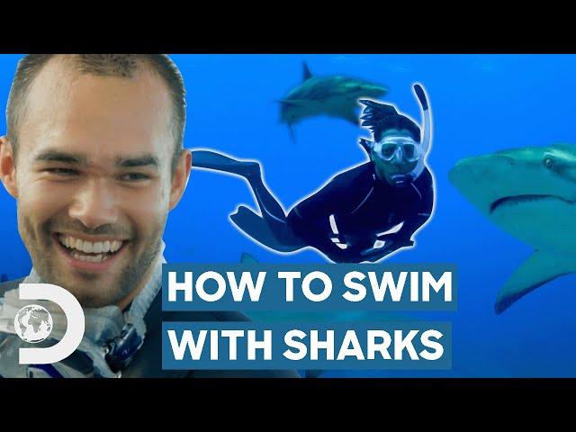 Freediving With Tiger Sharks For The First Time! | Shark Academy