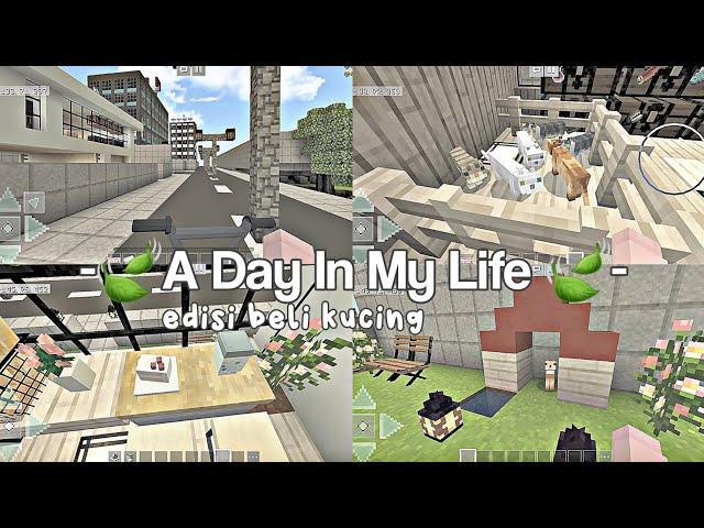 - A Day In My Life - | Minecraft edisi beli kucing ️