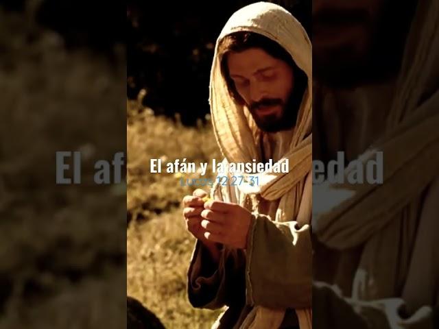 El afán y la ansiedad. #shorts #jesus #biblia #dios #palabradedios #videoscristianos #cristo