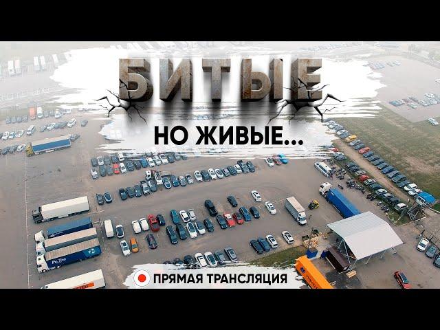 ЗАПИСЬ СТРИМА  Обзор битых авто из США! Забираем машины клиентов