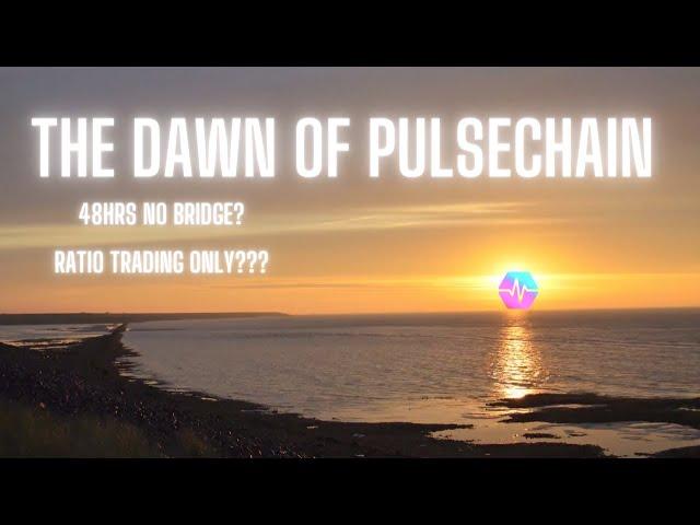 The First 24-48 Hours | Pulsechain Mainnet Pre-Bridge