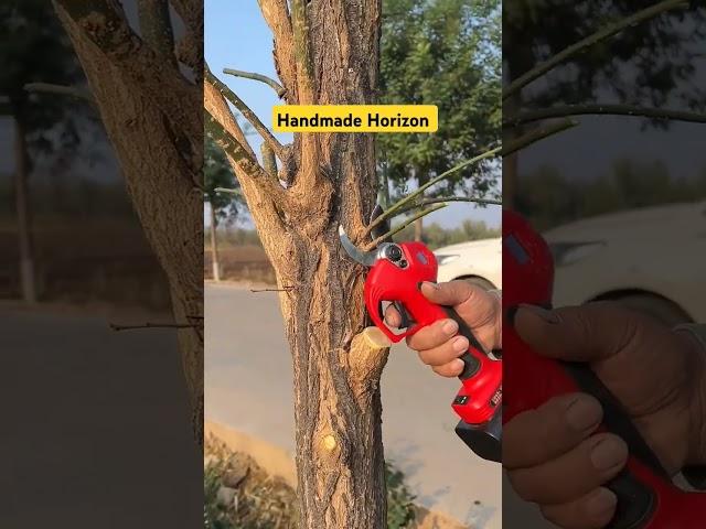 Tree Branches Cutting Process- Goodtools and machinery make work easy
