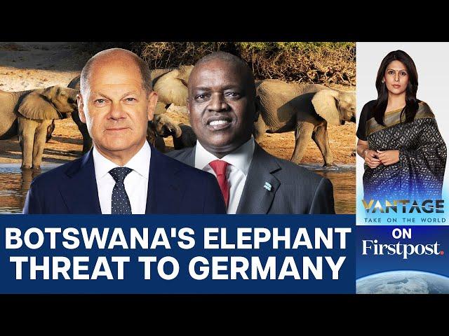 Botswana Threatens to Send 20,000 Elephants to Germany | Vantage with Palki Sharma