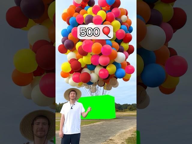 MrBeast makes a House fly using Balloons meme - Green Screen