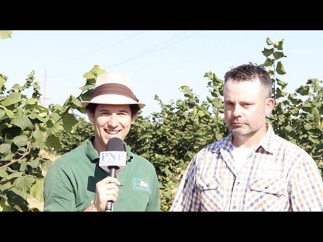 Considerations When Establishing a New Hazelnut Orchard