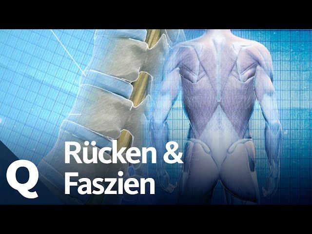 Faszien, Wirbel, Bandscheiben – Woher kommen die Schmerzen im Rücken? | Quarks