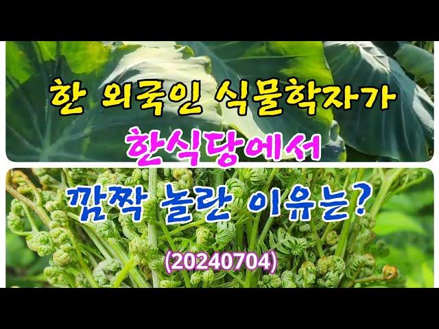 #한 외국인 식물학자가 한식당에서 깜짝 놀란 이유는? (20240704) #산야초 #독초식용법 #나물 #산나물 #들나물 #독초이용법 #유독식물 이용법