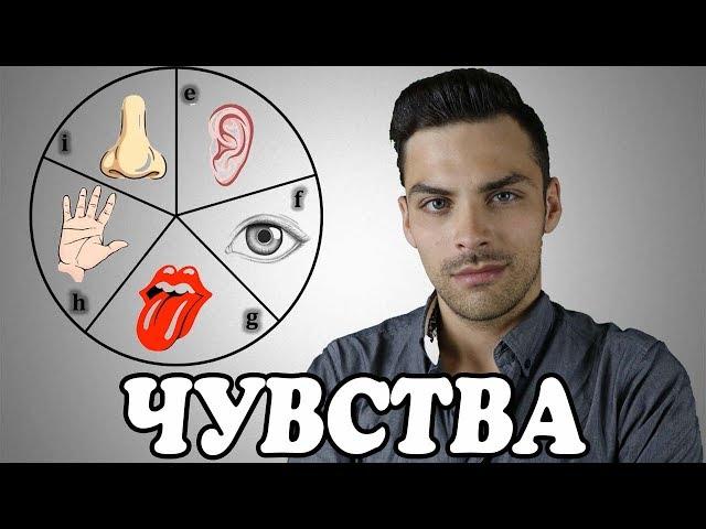 10 ИНТЕРЕСНЫХ ФАКТОВ ПРО ЧУВСТВА И ОЩУЩЕНИЯ