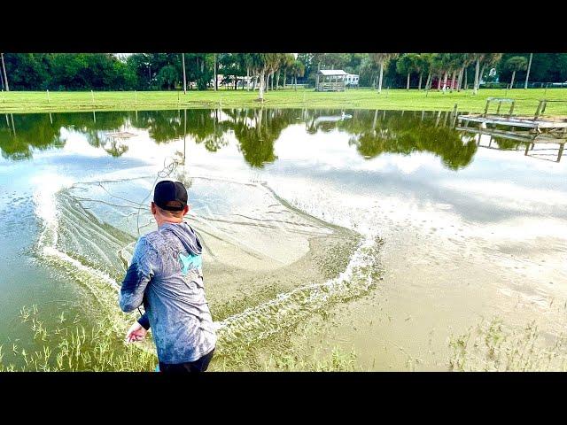 Removing 1000’s of Invasive Species￼ from Back Yard POND! **How to**