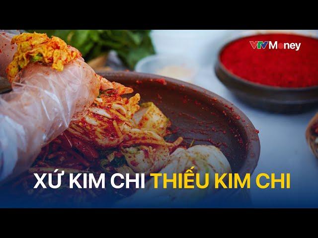 Xứ kim chi thiếu kim chi  | VTVMoney