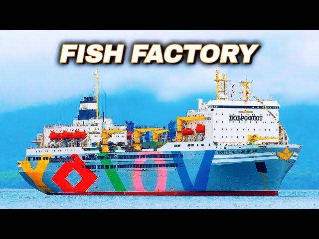 How Does The World's LARGEST Floating Fish Factory Work?