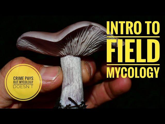 Intro to Field Mycology