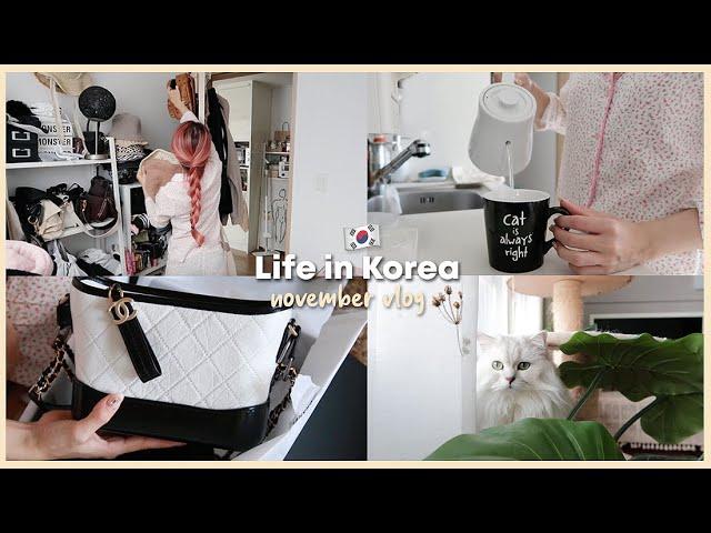 LIFE IN KOREA  NOVEMBER VLOG/ ORGANIZE MY CLOSET | Erna Limdaugh