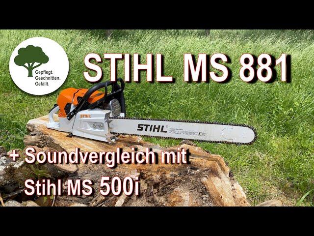 Stihl MS 881 - Baumscheiben schneiden / Soundvergleich mit Stihl MS 500i