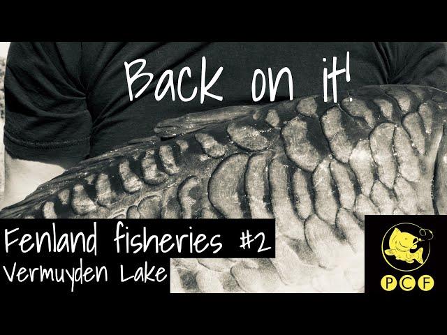 Fenland Fisheries #02 - Back on it!