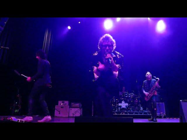 The Psychedelic Furs "I Wanna Sleep With You" St. Louis 2022