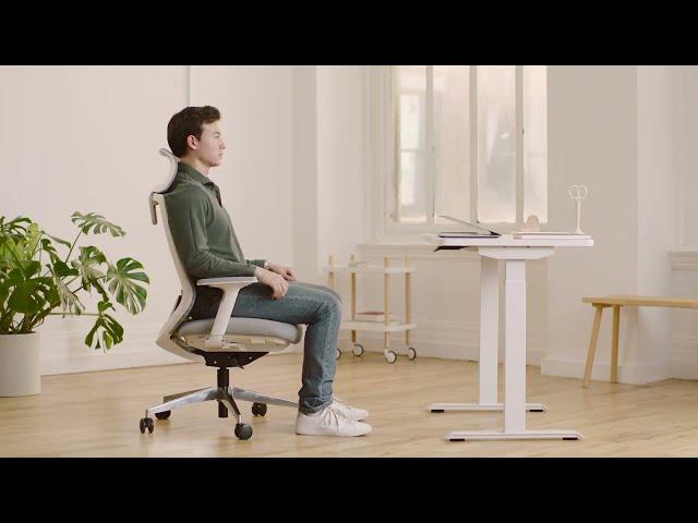 Branch - Ergonomic Chair Adjustments