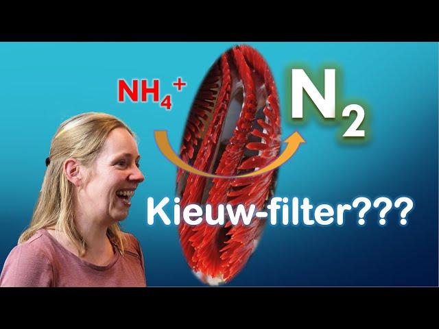 Voortaan geen filters meer nodig? Dr v Kessel geeft uitleg over haar onderzoeken.