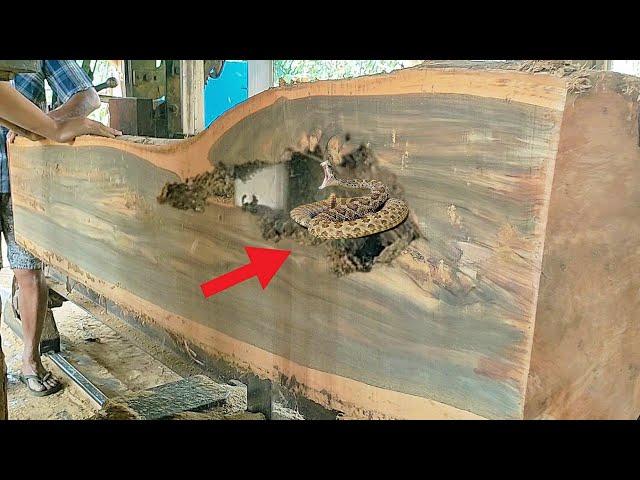 surprising discovery while sawing a teak log