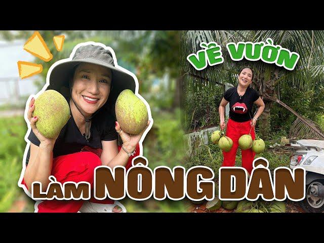 CHA CON CÁT TƯỜNG THU HOẠCH VƯỜN NHÀ !!!