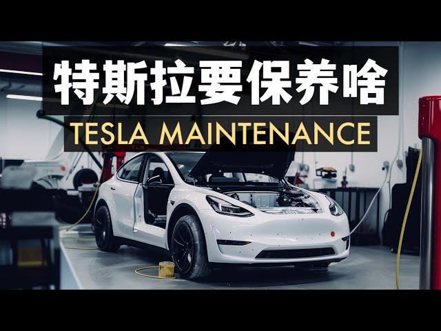 4.6萬公里的特斯拉都需要保養什麼？Tesla maintenance