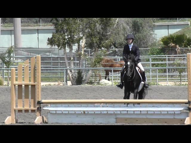 2011-2012 IEL Show Season - Show #4 Lindsay Palmer Novice Handy Hunter